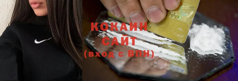 Cocaine Fish Scale  купить закладку  Колпашево 